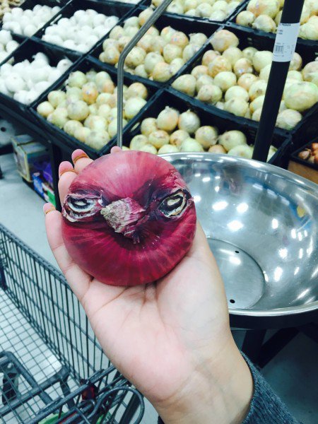 10 Funny Shaped Fruits in the world