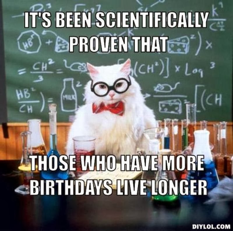 Funny-Happy-Birthday-cat