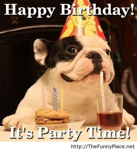17 Best Funny Happy Birthday Jokes Images Ever - Wiki-How