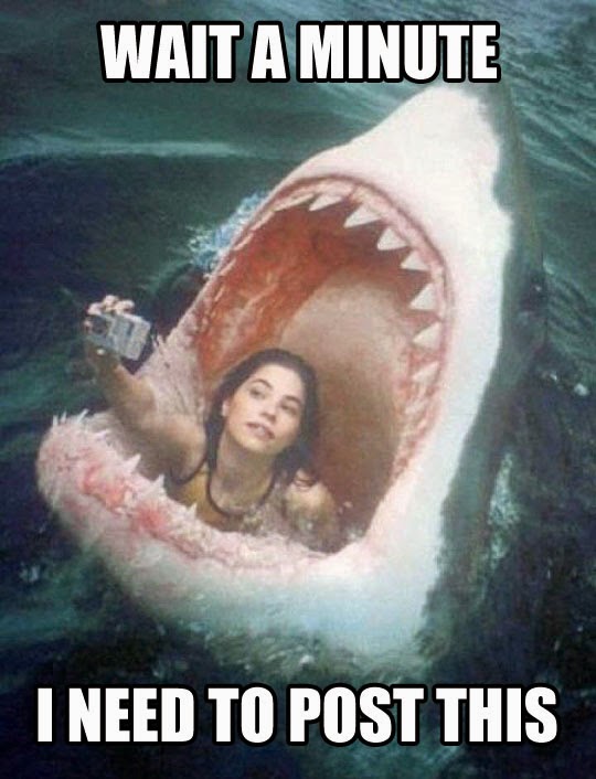 funny-girl-selfie-shark